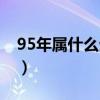 95年属什么生肖的属性（95年属什么生肖的）