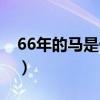 66年的马是什么命婚姻（66年的马是什么命）