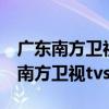 广东南方卫视TVS2长安宝宝大赛音乐（广东南方卫视tvs2）