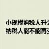 小规模纳税人升为一般纳税人有什么好处（小规模升为一般纳税人能不能再变为小规模）