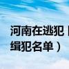 河南在逃犯 网上通缉照片2020（河南在逃通缉犯名单）