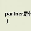 partner是什么意思中文（partner什么意思）