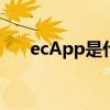 ecApp是什么软件（app是什么软件）