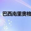 巴西南里奥格兰德州已有13人因钩体病死亡