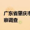 广东省肇庆市原副市长叶锐接受纪律审查和监察调查