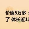 价值5万多：养了6年的巨骨舌鱼把自己摔死了 体长近1米6