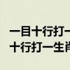 一目十行打一生肖最佳生肖是什么生肖（一目十行打一生肖）