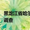 黑龙江省哈尔滨市政协原常委王绍臣接受审查调查