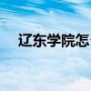 辽东学院怎么样口碑（辽东学院怎么样）