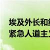 埃及外长和约旦外交大臣通话 讨论筹备加沙紧急人道主义会议