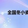 全国冬小麦已收1.9亿亩 收获进度过半