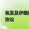 埃及及伊朗两国外长通话 讨论推动加沙停火协议