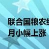 联合国粮农组织：全球食品价格指数连续3个月小幅上涨