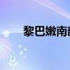 黎巴嫩南部村镇遭以军袭击 2人死亡