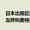 日本出现巨型章鱼：触手展开可超过3米  网友呼叫奥特曼