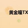 黄金瞳TXT下载奇书网（黄金瞳txt）