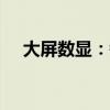 大屏数显：锐尔电子游标卡尺8.8元大促