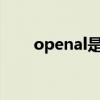 openal是什么软件（al是什么软件）