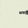 sm组合成员（sm新组合）