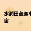 水润田垄迎丰收 今年我国累计灌溉面积超4亿亩