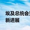 埃及总统会见美国务卿 讨论加沙停火协议最新进展