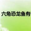 六角恐龙鱼有什么危害（六角恐龙鱼怎么养）