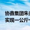 协鑫集团朱共山：预计到2026年绿氢成本可实现一公斤十块钱