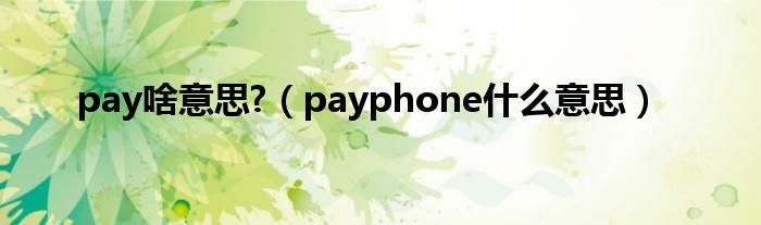 paypay什么软件（pay pay什么意思）