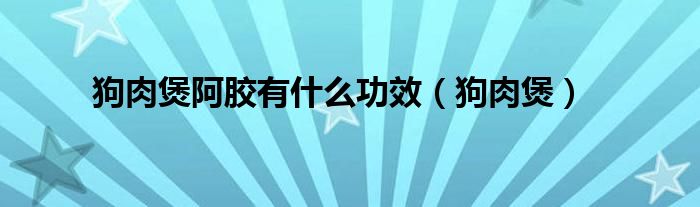 阿胶可以炖什么（阿胶可以炖狗肉吗）