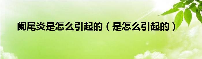 阑尾炎是如何引起的是怎么得的（阑尾炎是如何引发的）