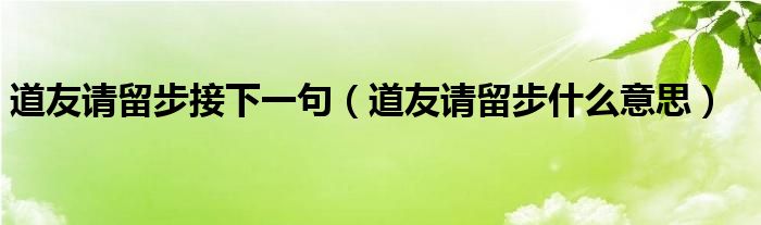 道友请留步是啥歌（道友请留步这句话是谁说的）