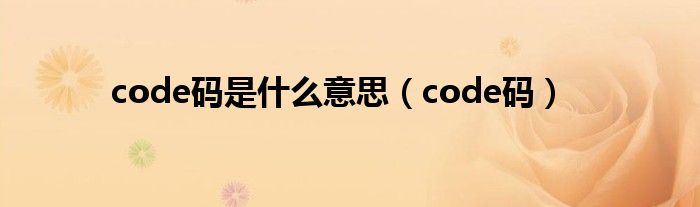 〈code〉（code码对照表）