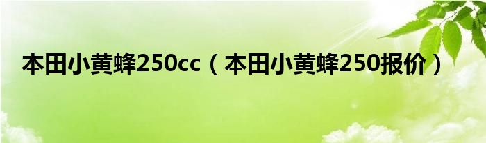 进口本田小黄蜂250报价（本田小黄蜂250全新的价格）