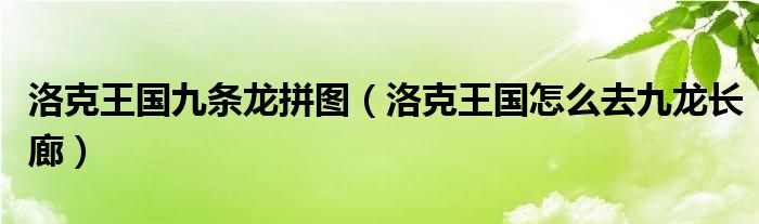 洛克王国九龙长廊怎么拿灵石猴（洛克王国龙之九子）