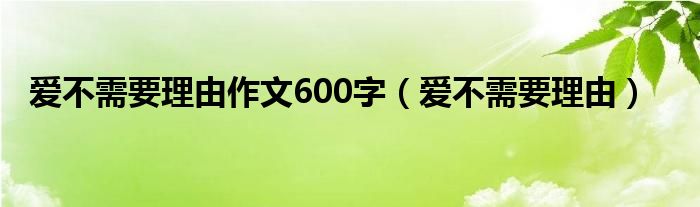 爱不需要理由作文600字（作文爱无需理由）