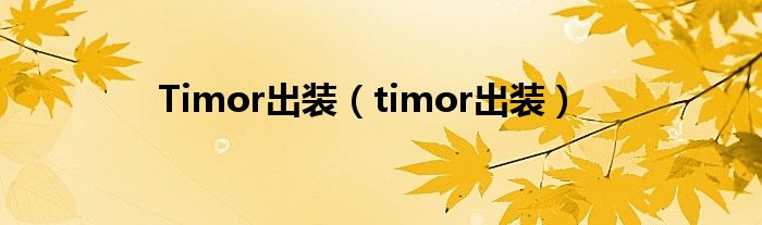 timor打法（timore出装）