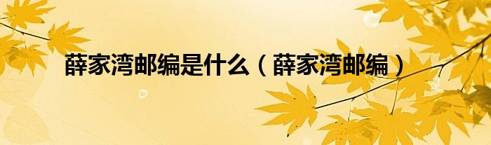 薛家湾邮政编码010700（薛家湾的区号是多少）