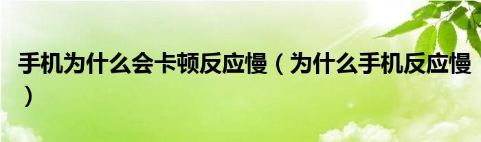 为什么手机反应很慢卡的很（为什么手机会很卡反应迟钝）