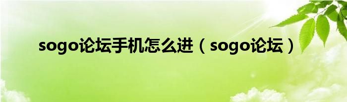 sogo论坛手机怎么进（sogo论坛怎么看视频）