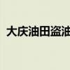 大庆油田盗油案主犯部分资产再次公开处置