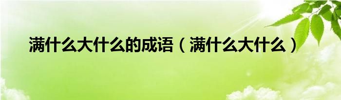 满什么满什么四字成语大全（满什么大什么成语大全）