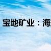 宝地矿业：海益投资拟减持公司不超3%股份