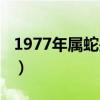 1977年属蛇是什么命（1976年属龙是什么命）