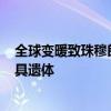 全球变暖致珠穆朗玛峰变成垃圾场和大墓地：已发现200多具遗体