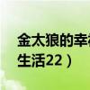 金太狼的幸福生活22集剧情（金太狼的幸福生活22）