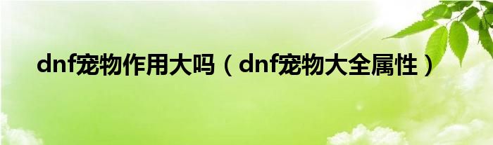 dnf宠物盘点（dnf宠物价格表）