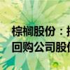 棕榈股份：控股股东提议以5000万元-1亿元回购公司股份