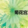 菊花宫扇画图片大全（菊花宫）