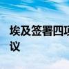 埃及签署四项价值330亿美元的绿色氨框架协议