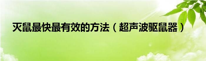 超声波灭鼠最佳方法（汽车超声波驱鼠器灭鼠视频）